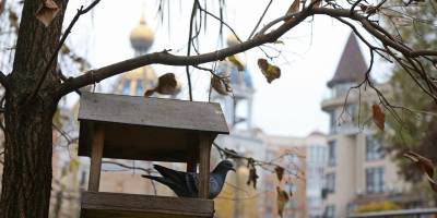 Сьогодні в Україні — дощ та сніг: де очікувати негоду