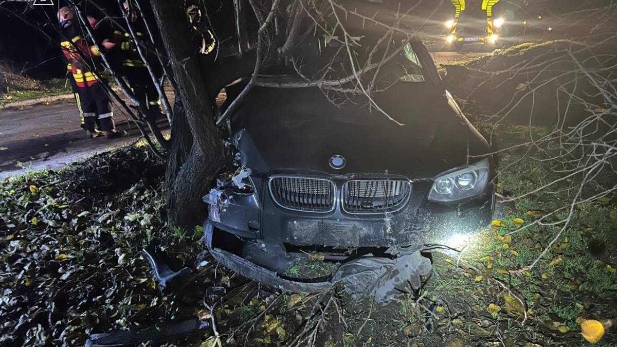 Водій автомобіля BMW не впорався з керуванням та врізався у дерево