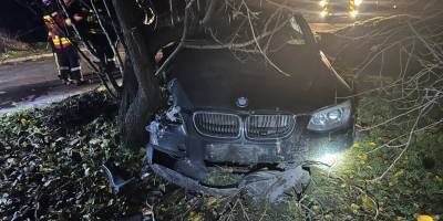 Водій автомобіля BMW не впорався з керуванням та врізався у дерево