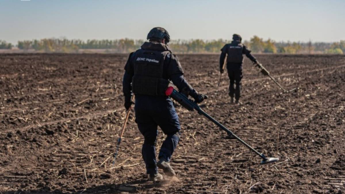 В Україні вперше оплатили витрати фермеру, який розмінував ділянку власним коштом