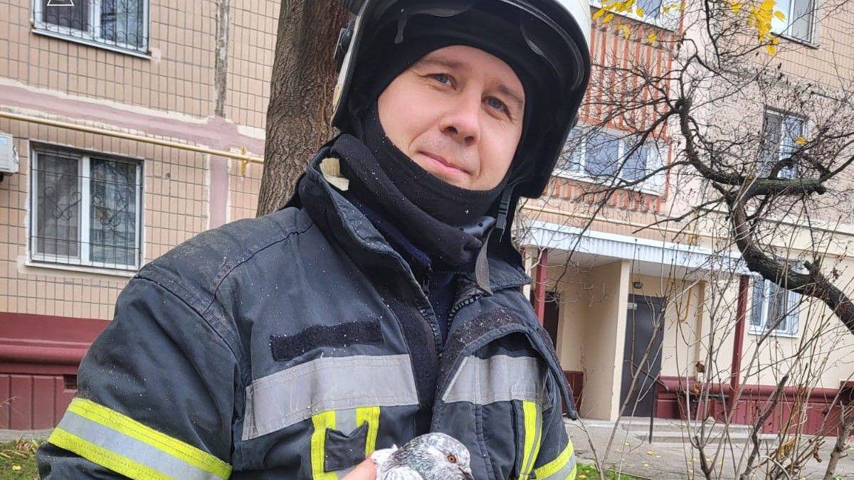 Надзвичайники врятували голуба, який заплутався у рибальській волосіні