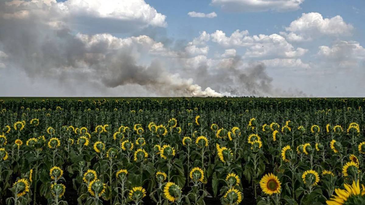 Фото з Запорізької області увійшло у ТОП-100 найкращих світлин 2025 року