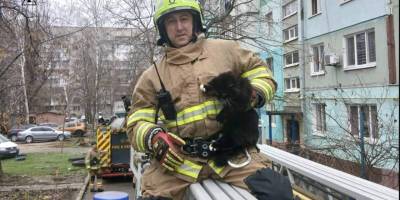 У Запоріжжі рятувальники зняли з дерева кота, який застряг на висоті п’ятого поверху
