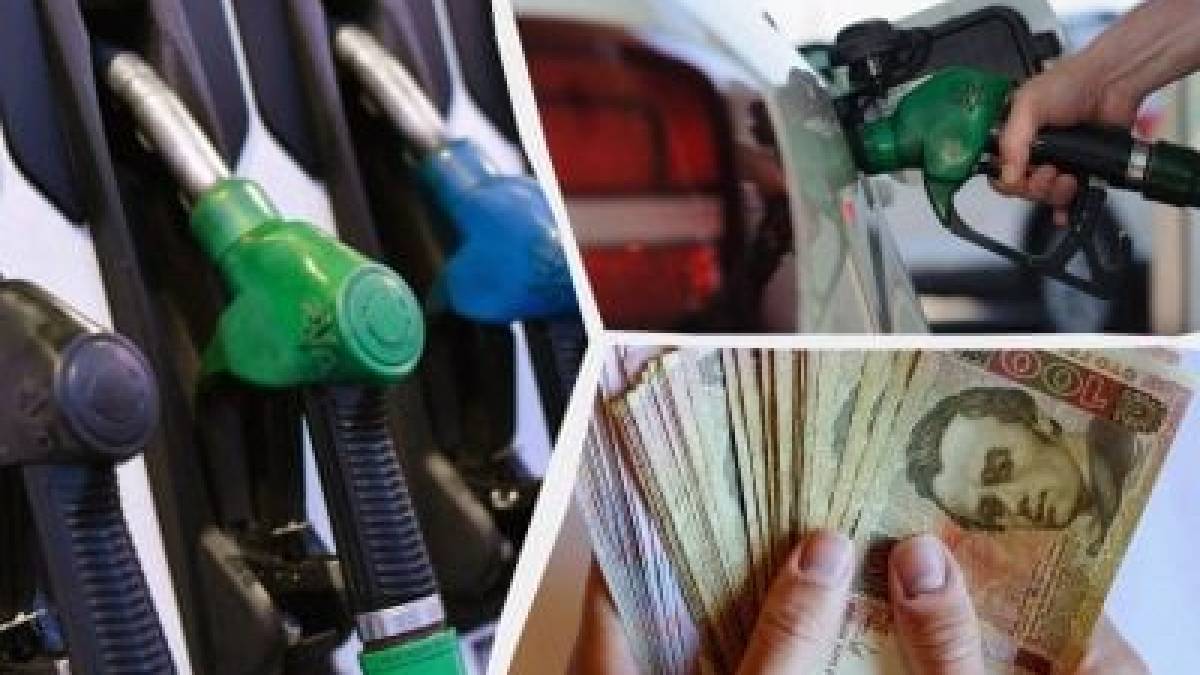 У Запоріжжі власник АЗС вісім років майже безкоштовно користувався землею громади