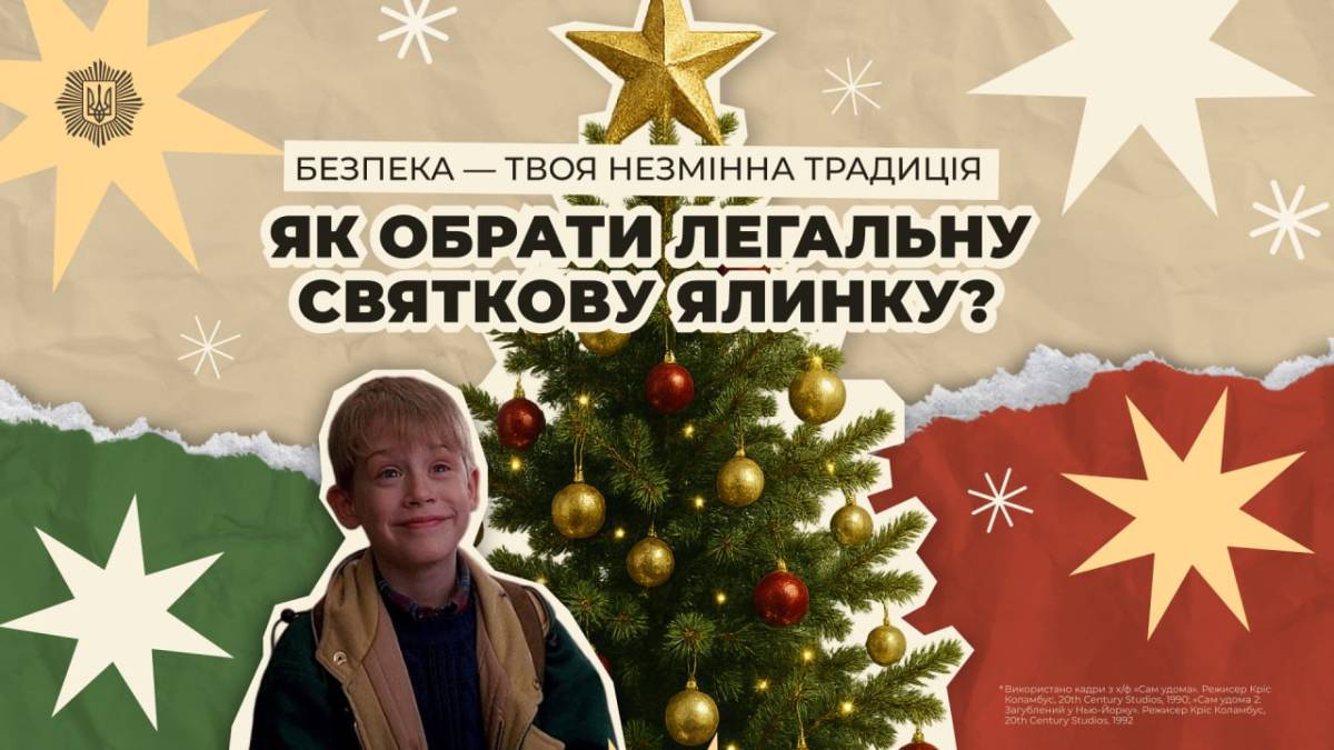 Купувати живі святкові дерева варто лише на офіційних ярмарках, адже ці місця є легальними точками продажу