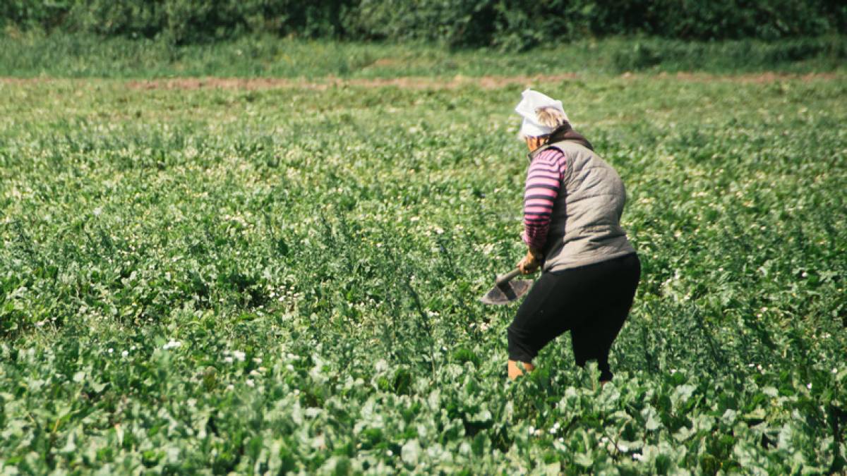 Запорізьким фермерам: розпочався новий масштабний проєкт «DOBRO»