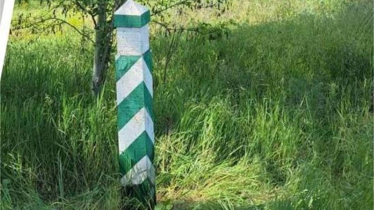 На Запоріжжі сільрада незаконно дозволила будівництво на території лісу