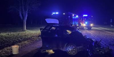 У Польщі автобус із 26 українцями потрапив у ДТП