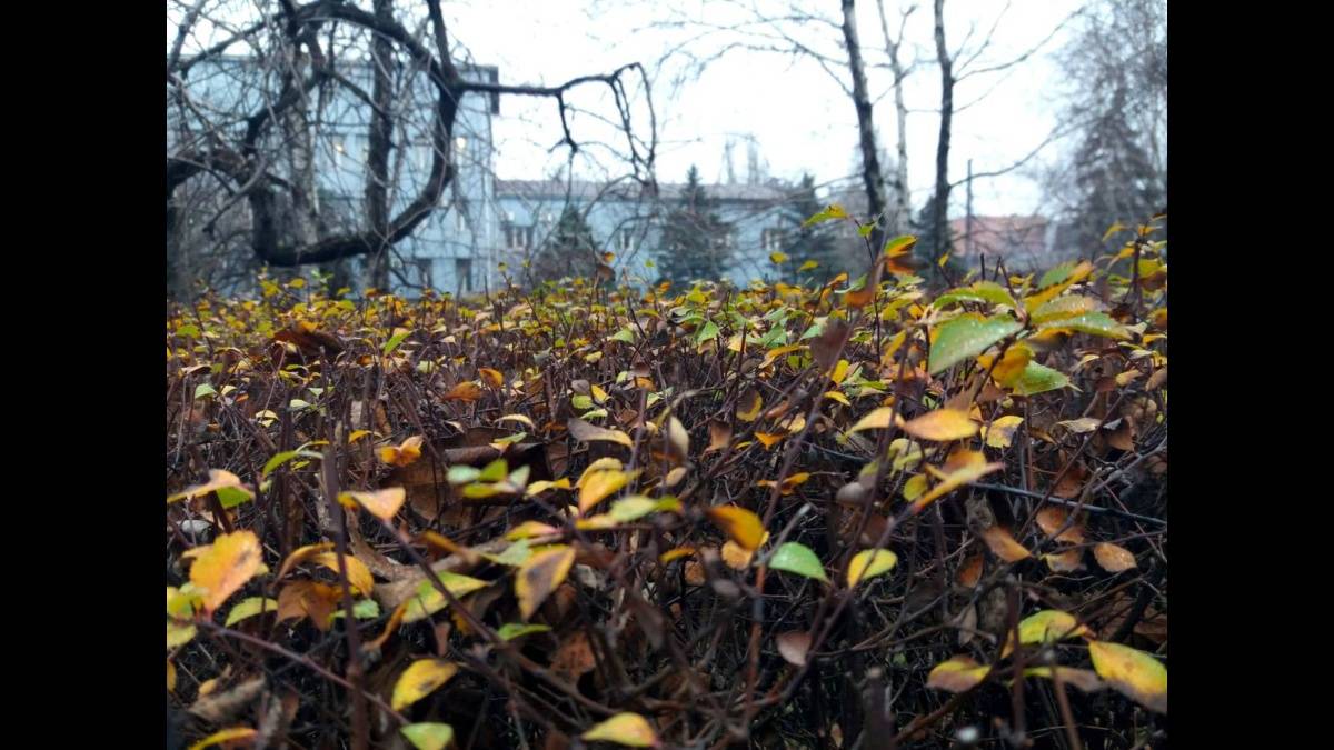 Якою буде погода в Запоріжжі в перші три дні тижня – детальний прогноз синоптиків