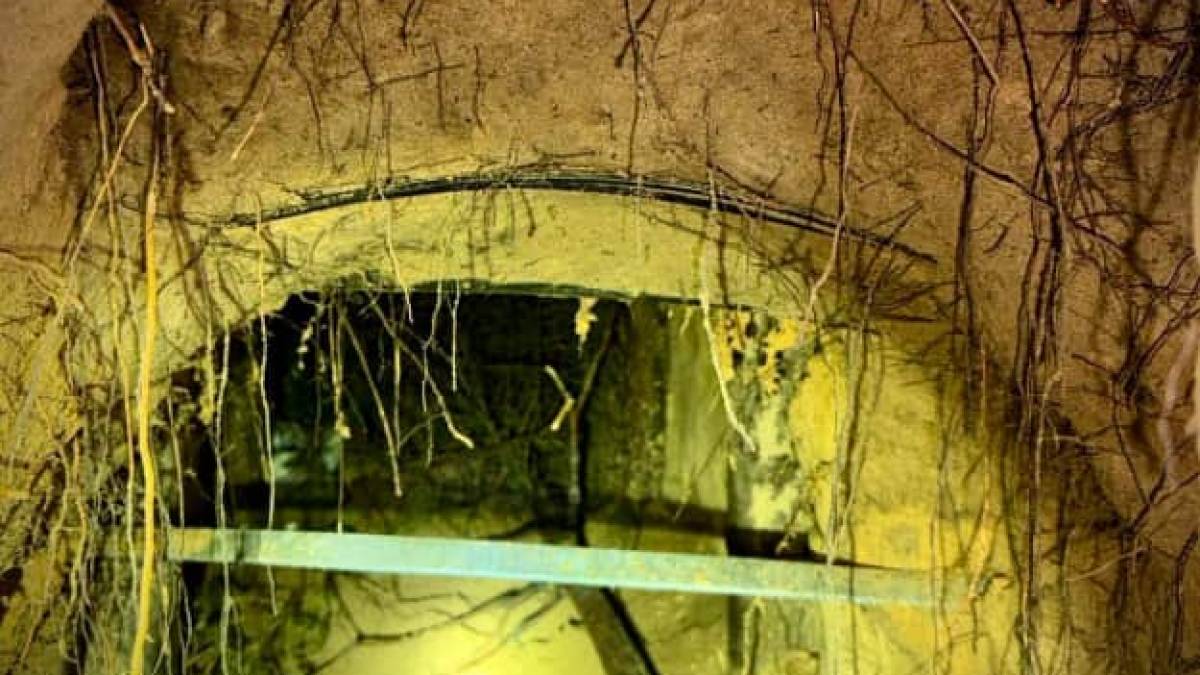 У Польщі біля кордону з Білоруссю виявили тунель, через який пройшли майже 2 сотні мігрантів