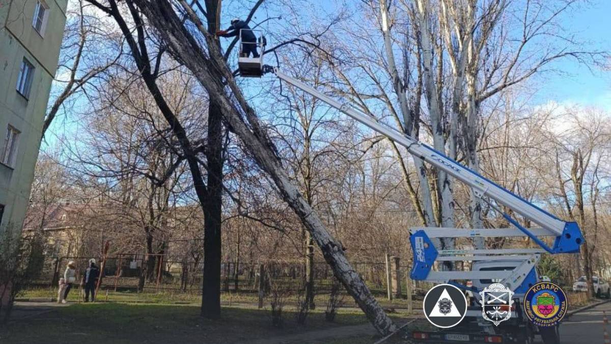 17 звернень щодо падіння дерев надійшло до контакт-центру 15-80