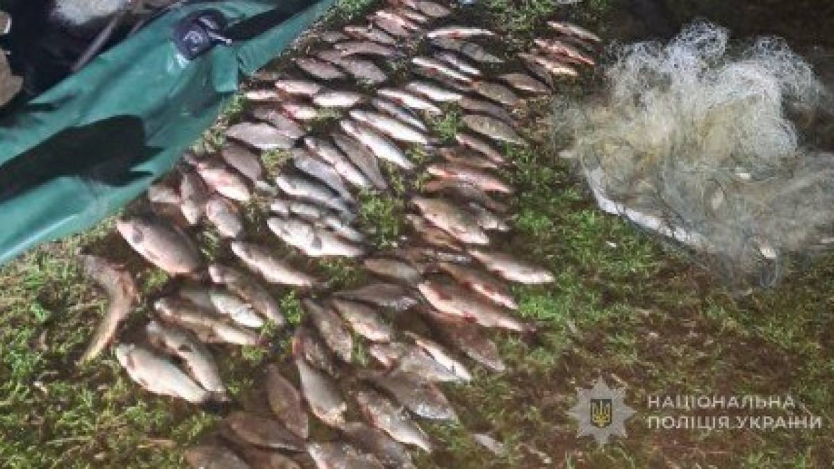На Запоріжжі браконьєри-човнярі наловили риби на 157 тисяч гривень