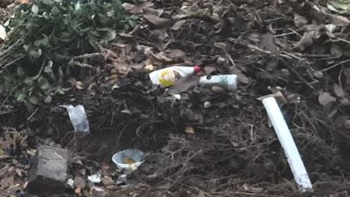 Нові факти засмічення у Заводському районі Запоріжжя