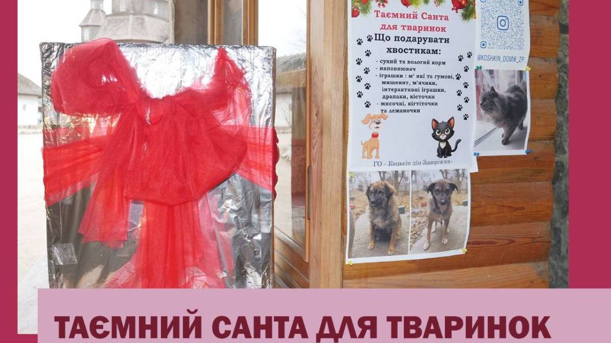 Таємний Санта для тваринок»