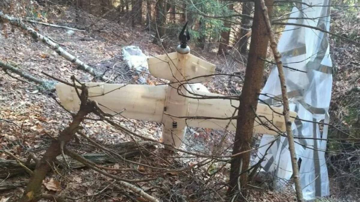 У лісі Румунії знайшли дрон із парашутом — ЗМІ