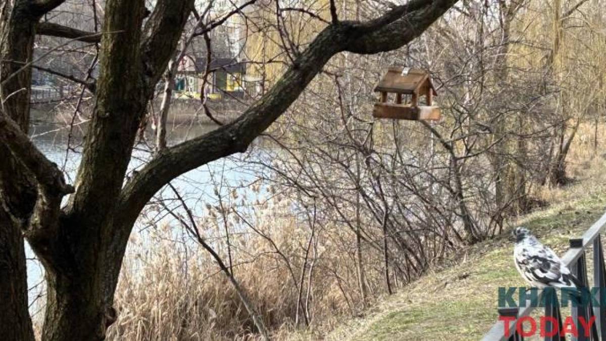 Сьогодні  Україні без опадів, удень  —  до -6°