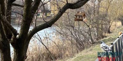 Сьогодні  Україні без опадів, удень  —  до -6°