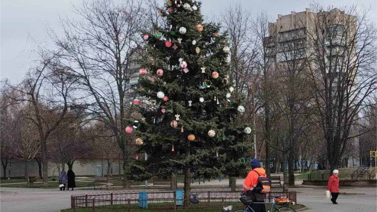 У парку Запоріжжя невідомі обікрали святкову ялинку