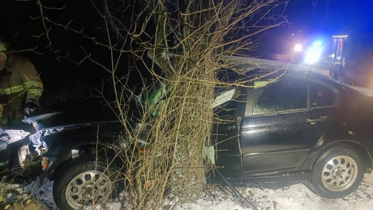 У Запоріжжі автівка влетіла у дерево