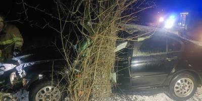 У Запоріжжі автівка влетіла у дерево