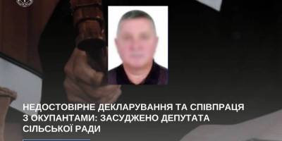 Недостовірне декларування та співпраця з окупантами: засуджено депутата сільської ради