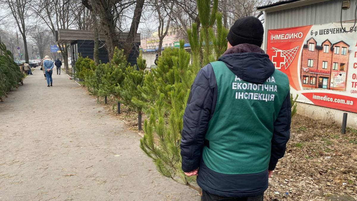 Законність торгівлі новорічними ялинками під контролем