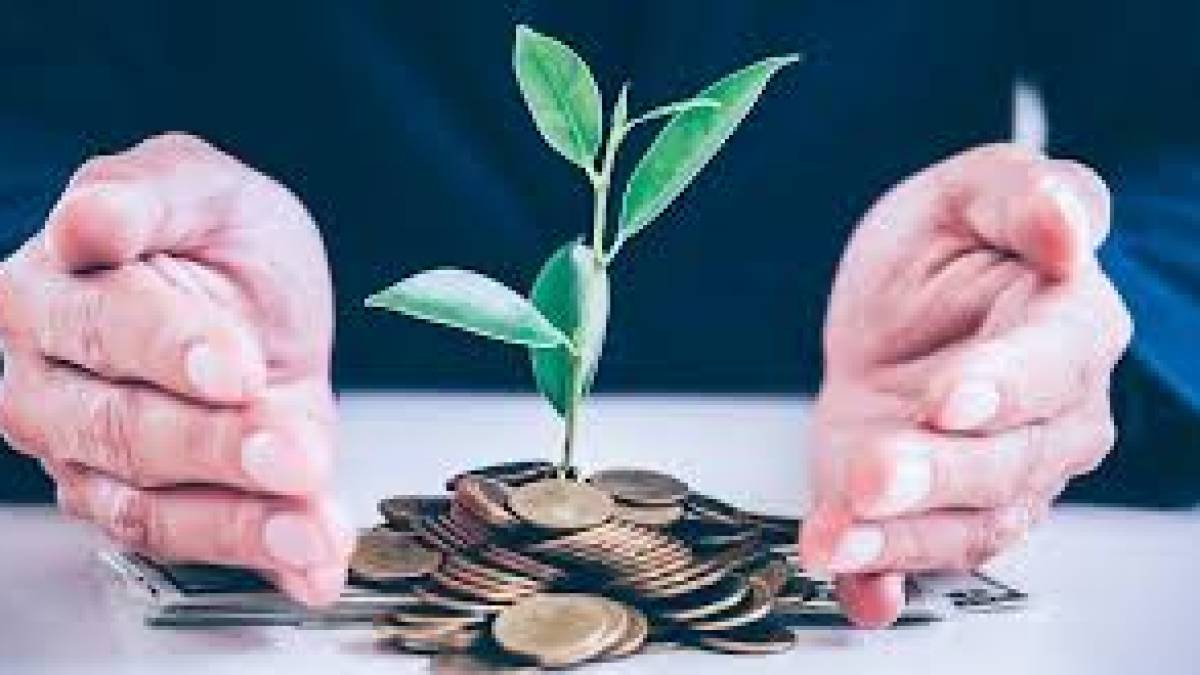 У Запоріжжі виділили 30 млн гривень на охорону довкілля: на що витратять ці кошти