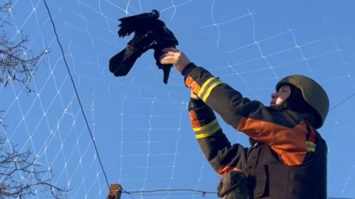 У громаді під Запоріжжям рятували ворону – кадри