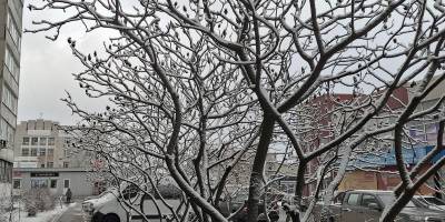 Сьогодні в Україні — від 1-6° морозу до 9° тепла, подекуди — сніг із дощем