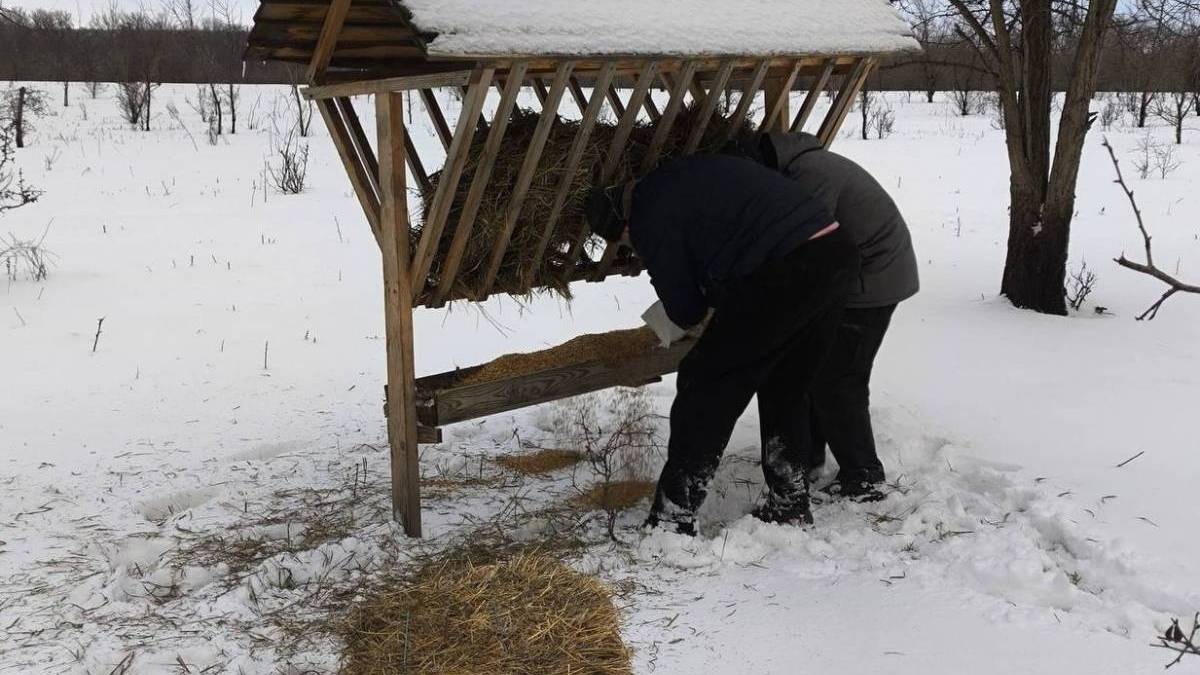 На Хортиці співробітники заповідника підгодовують диких тварин 