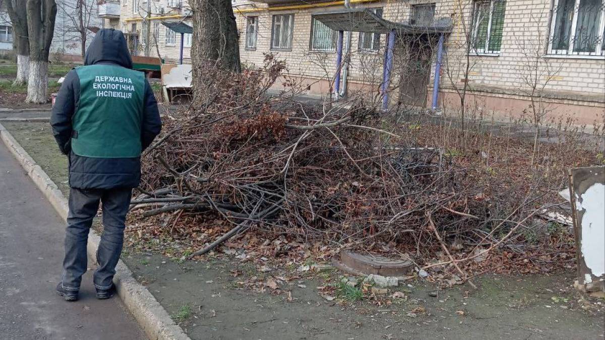 У Хортицькому районі виявили декілька сміттєзвалищ