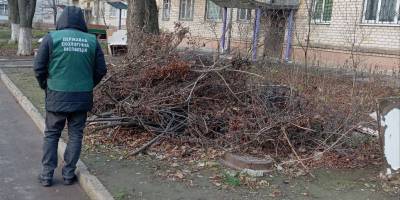 У Хортицькому районі виявили декілька сміттєзвалищ