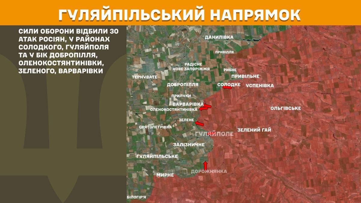 35 атак рф на Гуляйпільському та Оріхівському напрямках відбили Сили оборони України