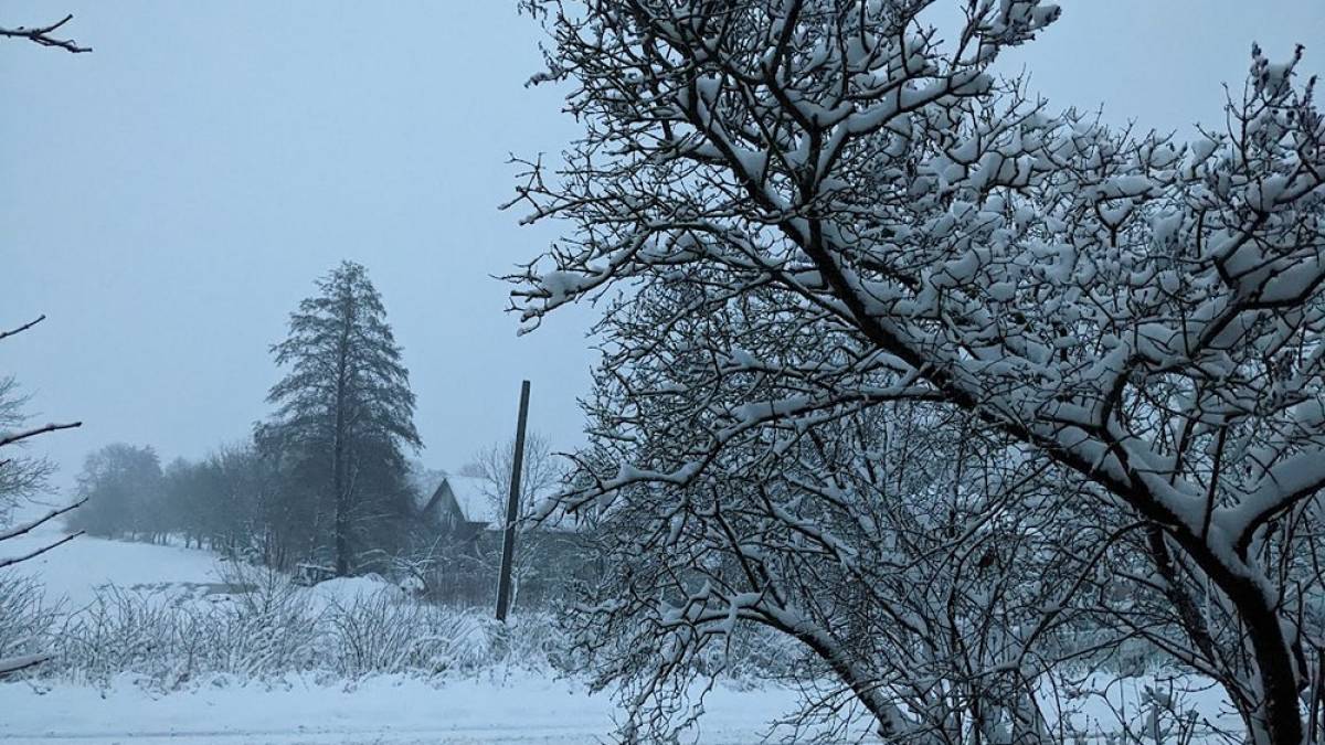 У суботу  опадів поменшає, але мороз триматиметься