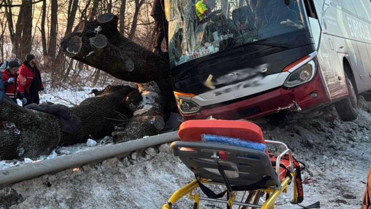 Автобус із Відня потрапив у ДТП на Львівщині