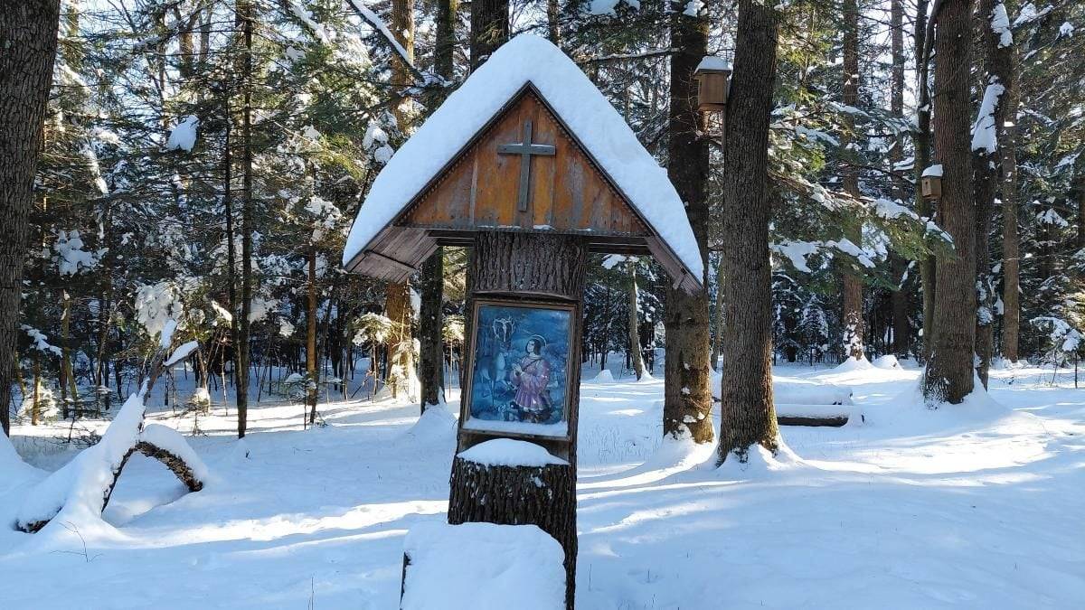 Сьогодні в Україні – мінлива хмарність та ожеледиця з денними морозами до -14°