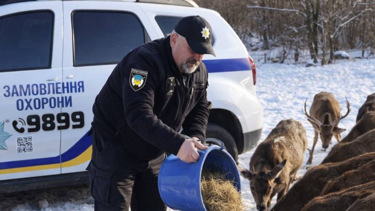 Оленів на острові Хортиця підгодовують запорізькі поліцейські