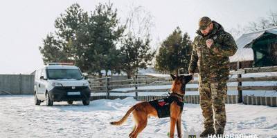 Як допомогти собаці під час обстрілів: поради поліцейського – кінолога