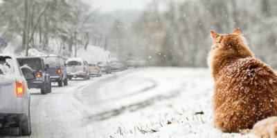 В Україні у середу  вдень від 10° морозу до 2° тепла