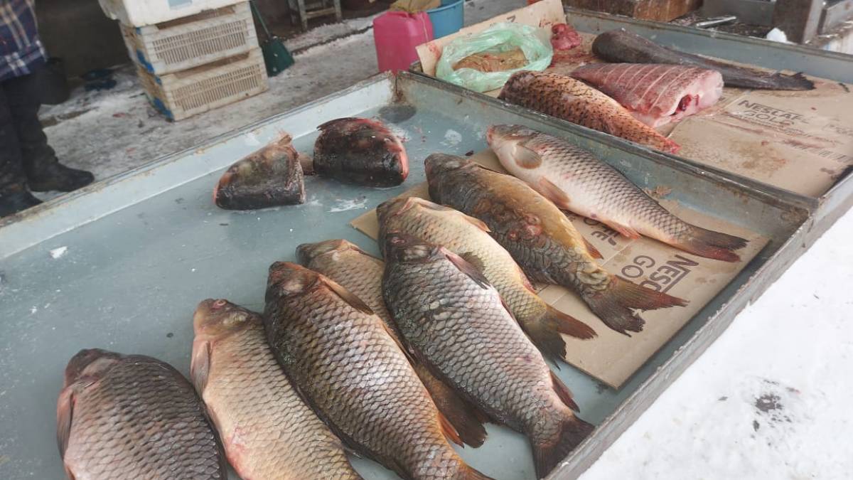 Законна торгівля водними біоресурсами — спільна відповідальність
