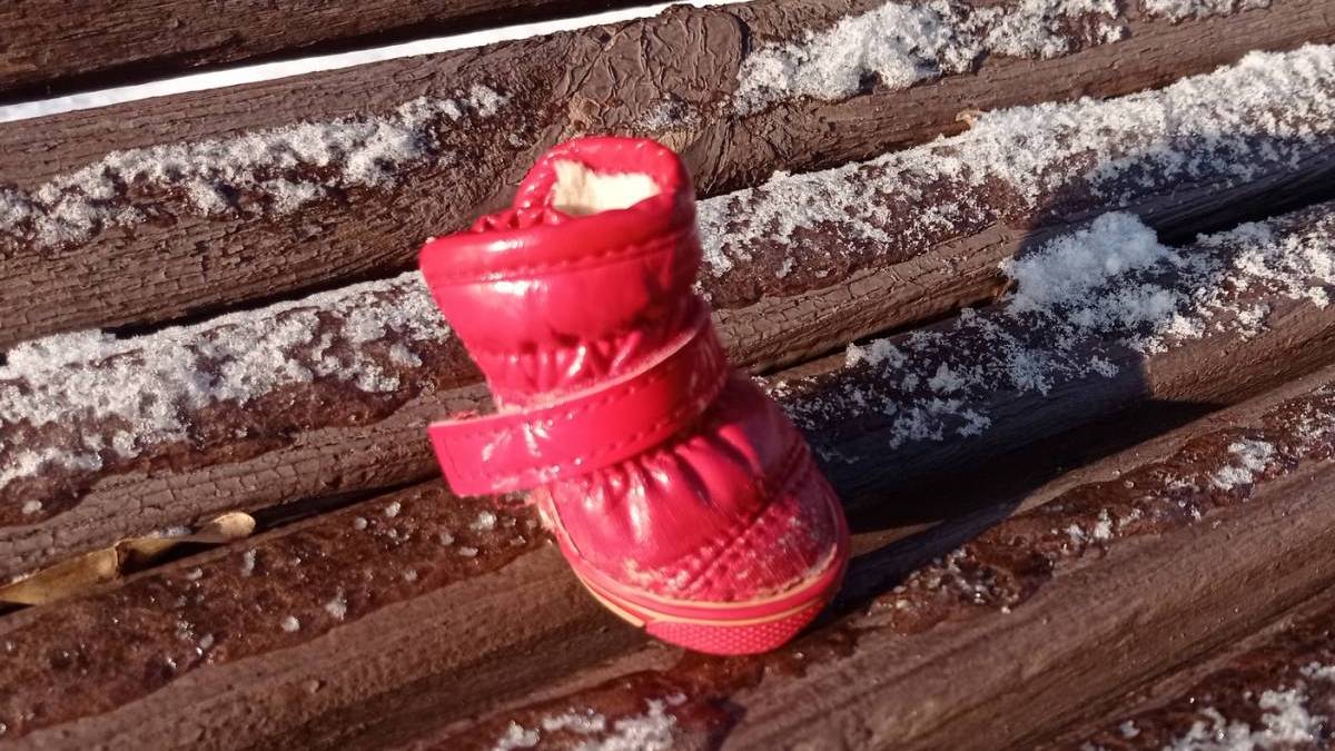 Геометрія снігу та чобіток хвостатої попелюшки