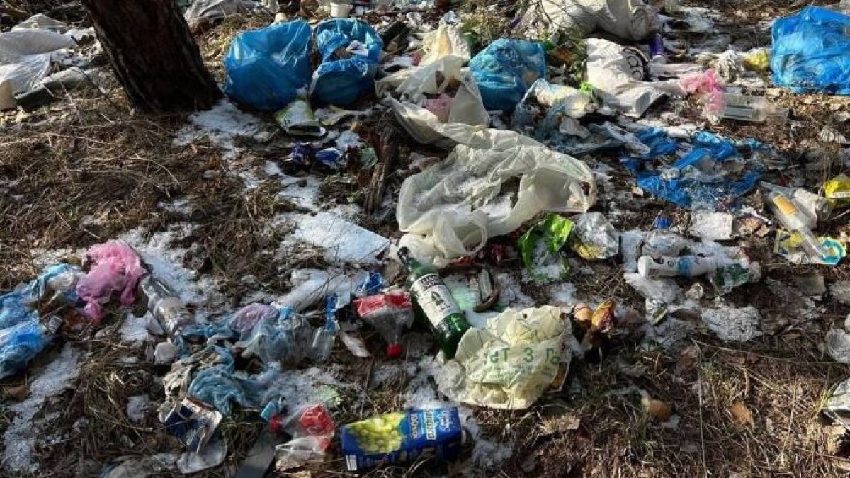 У Дніпровському районі Запоріжжя виявили несанкціоноване сміттєзвалище