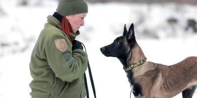 У кінологічному центрі запорізької поліції зʼявилися маленькі новачки