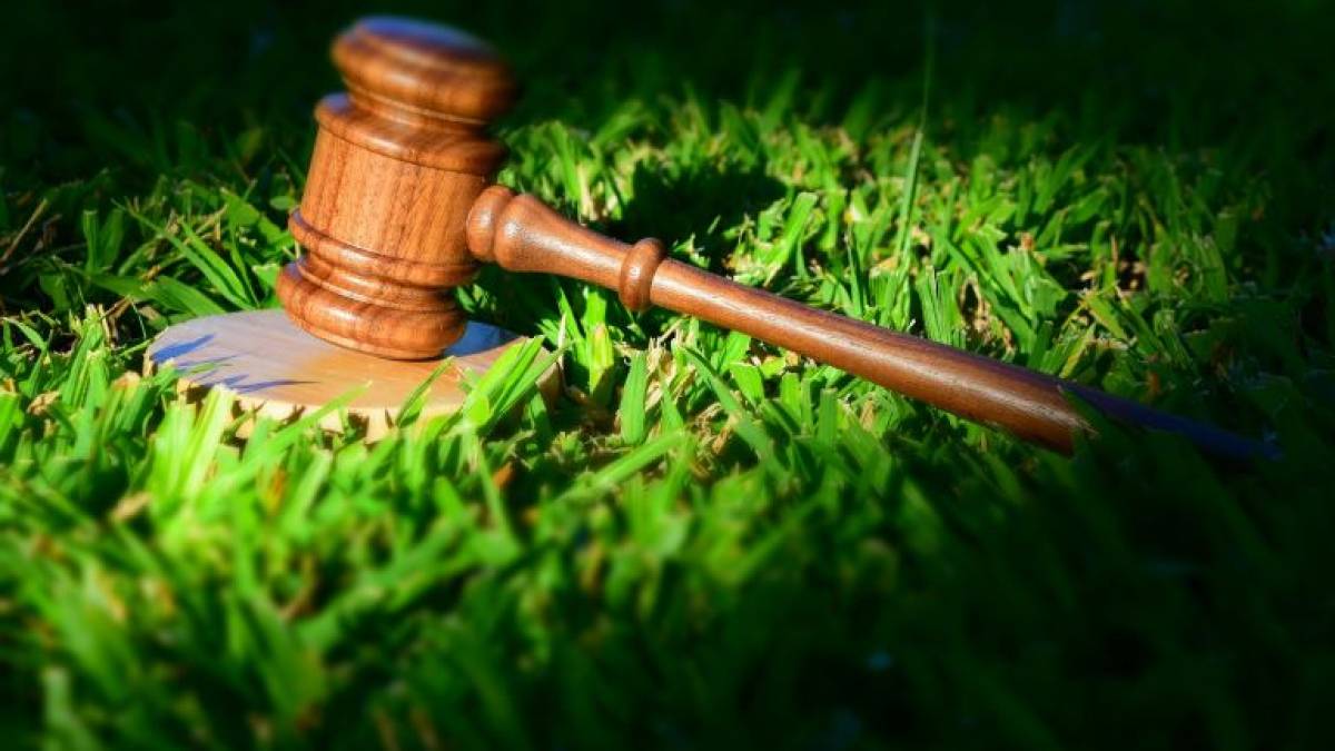 Лідери екологічних правопорушень у регіоні – рибалки та “лісоруби”