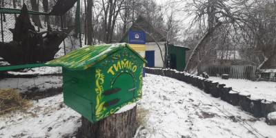 Весна «настане за шість тижнів»: бабак Тимко зробив символічний прогноз