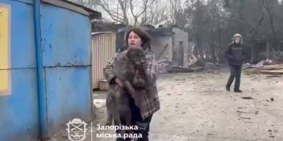 У Запоріжжі внаслідок ворожих ударів постраждав притулок для собак