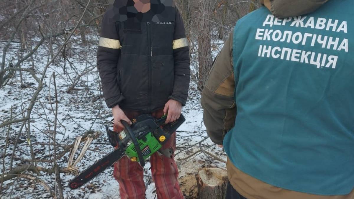На території Петро-Михайлівської громади виявлено факт самовільної порубки зелених насаджень