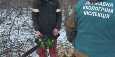 На території Петро-Михайлівської громади виявлено факт самовільної порубки зелених насаджень