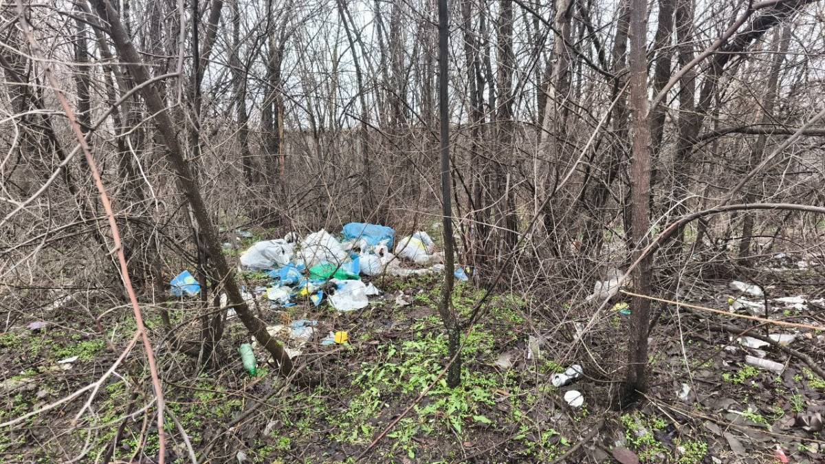 Виявлено несанкціоноване розміщення відходів у Дніпровському районі Запоріжжя