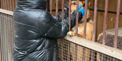 Благодійники допомогли прихистку для чотирилапих